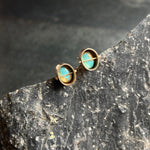 Captured Mottled Campitos Turquoise Studs