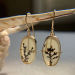 Captured Dendritic Agate Drop Earrings