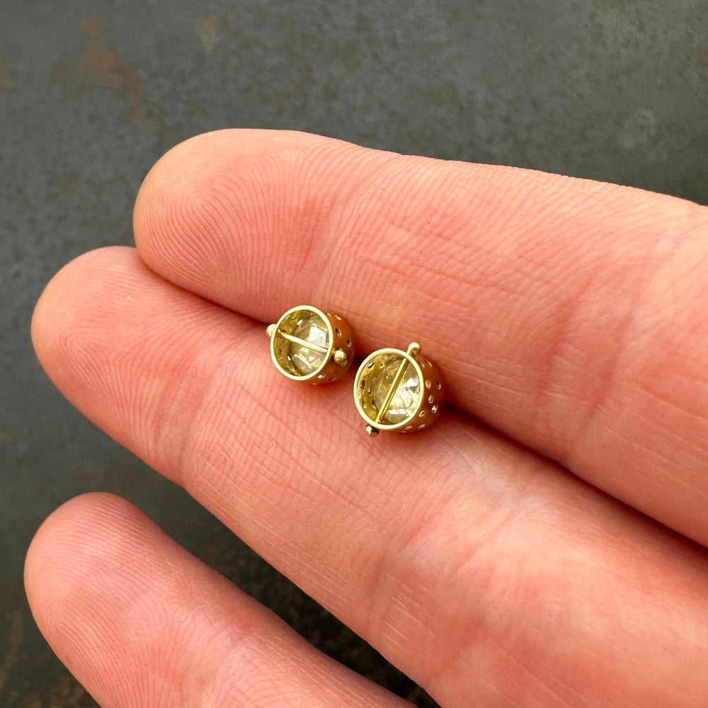 Captured Icy Diamond Earrings