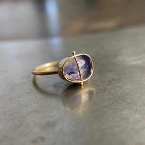 Captured Tanzanite Ring