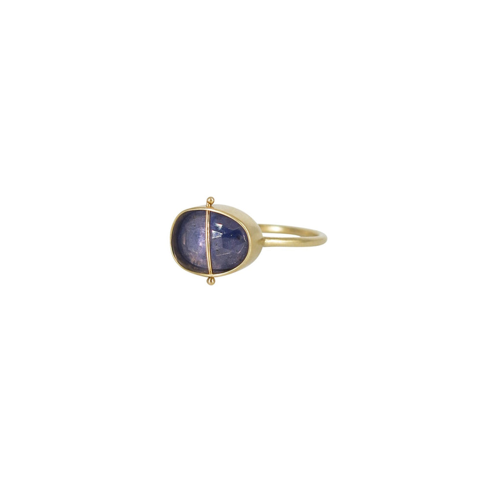 Captured Tanzanite Ring