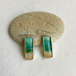 
                
                    Load image into Gallery viewer, Captured Peruvian Opalized Wood Earrings
                
            
