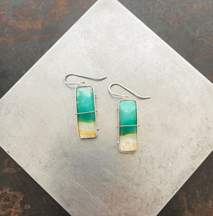 
                
                    Load image into Gallery viewer, Captured Peruvian Opalized Wood Earrings
                
            